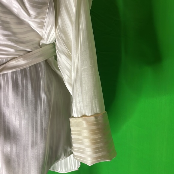 Aritzia, Zelle shirt, belted , Blouse Silk - Picture 8 of 11